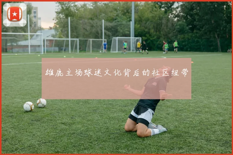 雄鹿主场球迷文化背后的社区纽带