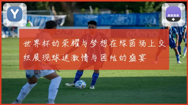 世界杯的荣耀与梦想在绿茵场上交织展现球迷激情与团结的盛宴