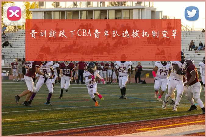 青训新政下CBA青年队选拔机制变革