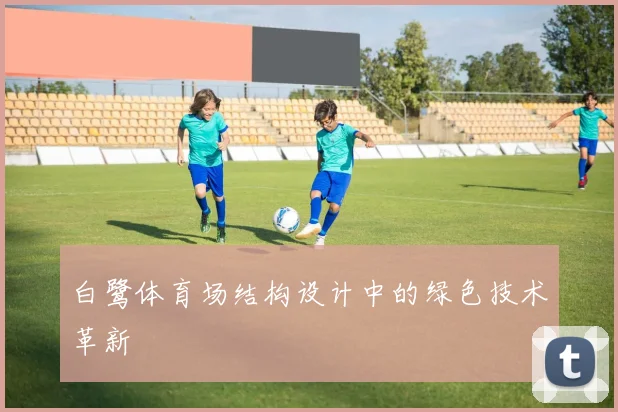白鹭体育场结构设计中的绿色技术革新